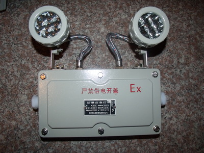 BAJ52-14/220V防爆應急燈 礦用安全照明的專業解決方案